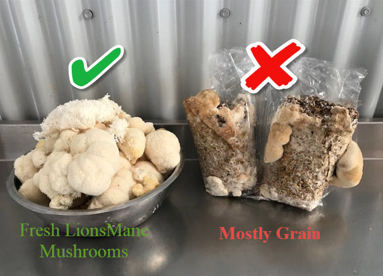 Why fruiting body mushrooms are superior