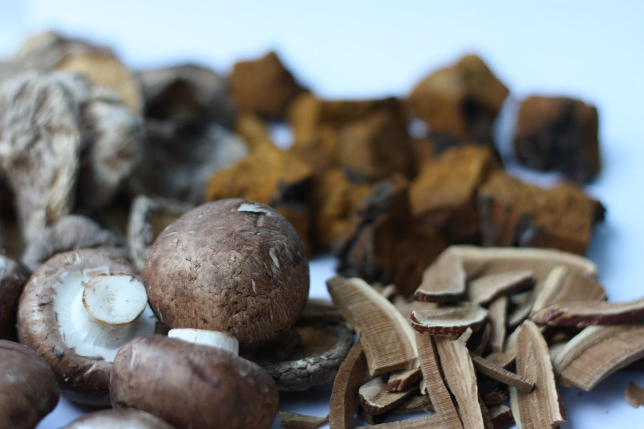 PART 3 - Why mushroom extraction is preferred method since ancient times.