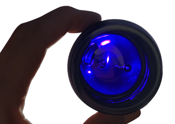 The illuminating secret behind âViolet Glass Packagingâ for mushroom storage