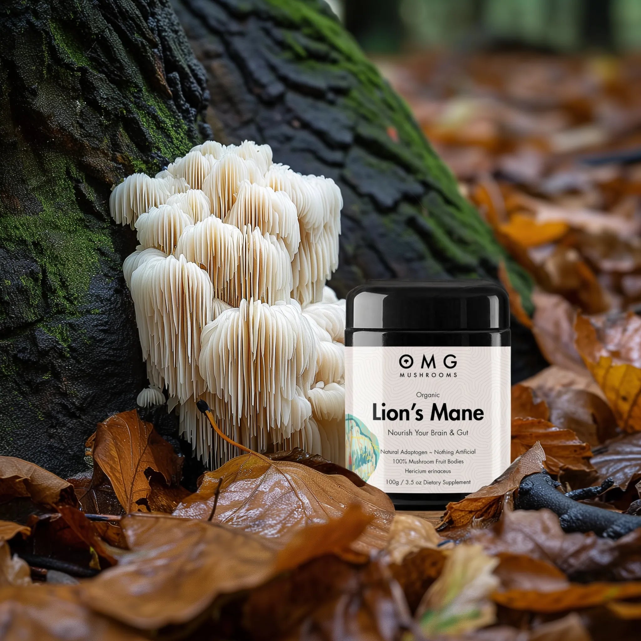 OMG Mushrooms LIONS MANE promo only