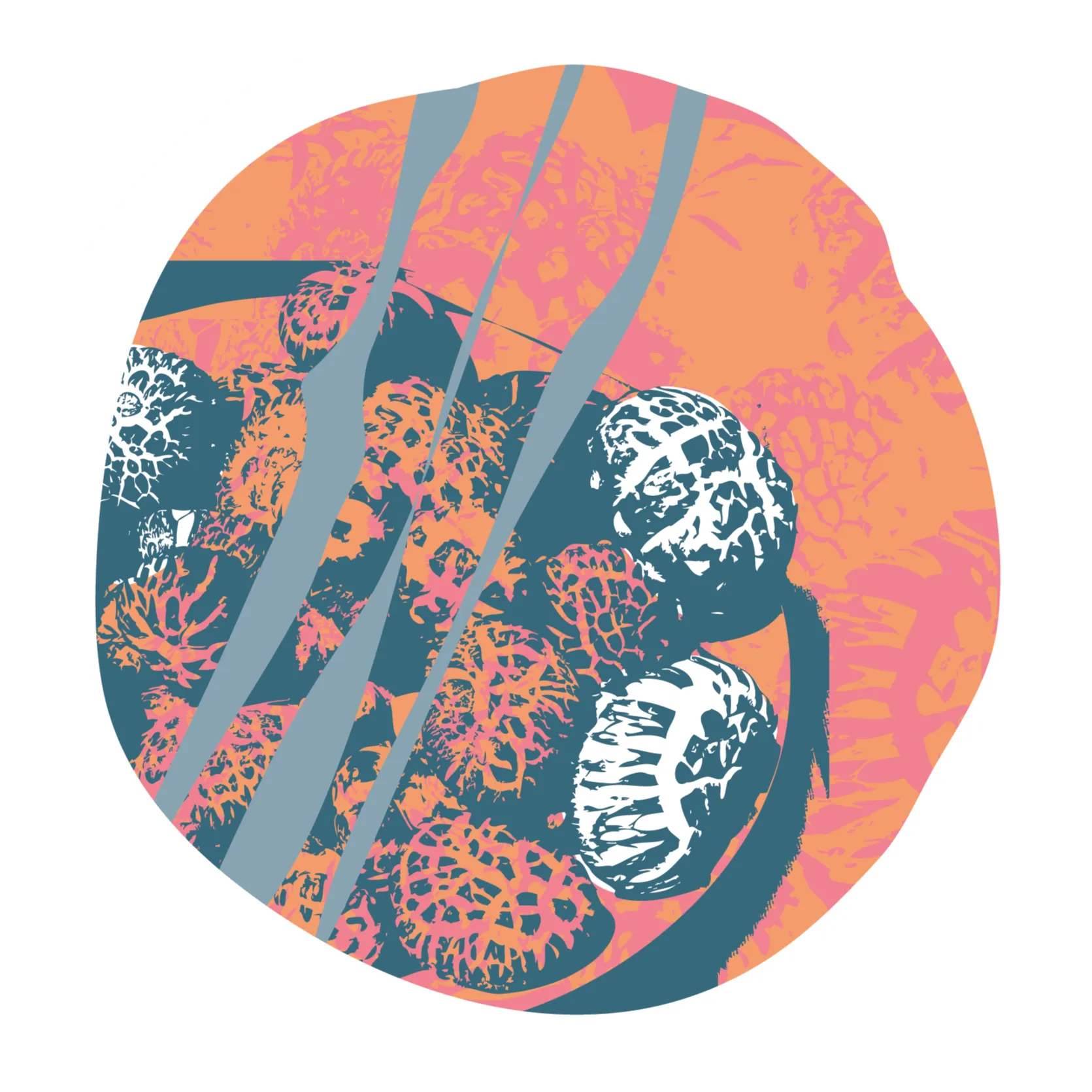 OMG Mushrooms SHIITAKE artists impression (Lauren Wilhelm)